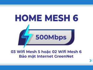 HOME MESH 6